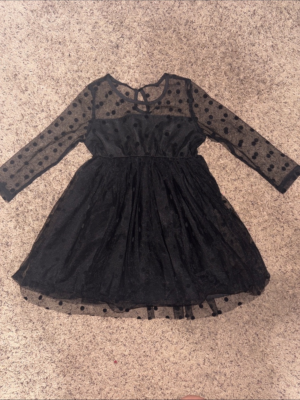 Black Polka Dot Mesh Long Sleeve Dress